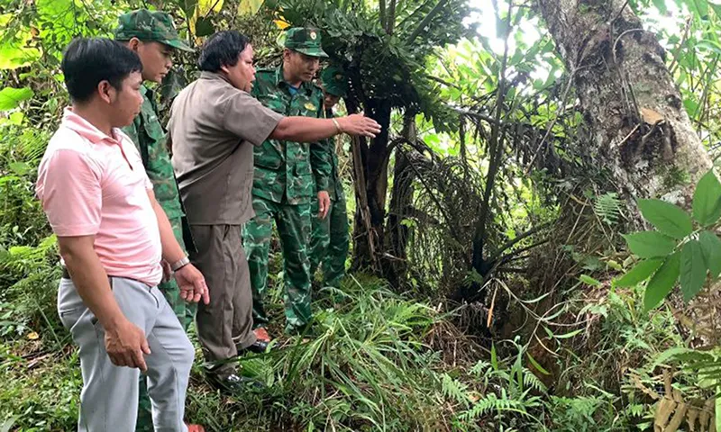 Quảng Nam ban bố tình huống khẩn cấp do vết nứt trên đỉnh đồi đe dọa hàng chục hộ dân khu TĐC ở huyện Tây Giang