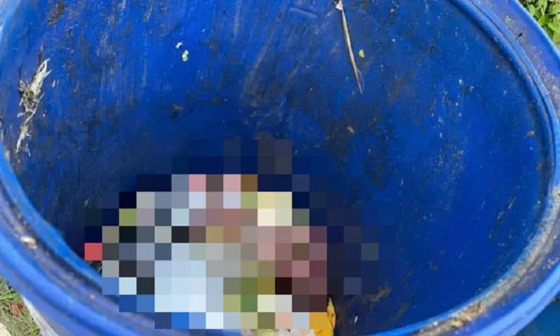 Thi thể bé trai sơ sinh được phát hiện trong thùng rác