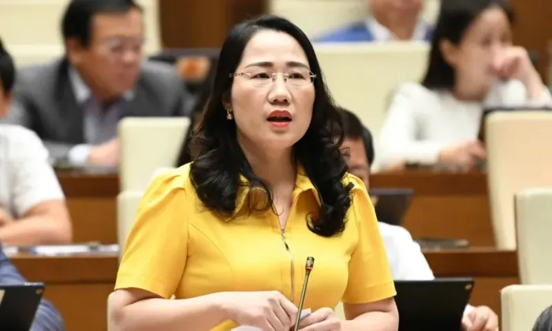 Dai bieu quoc hoi 2024