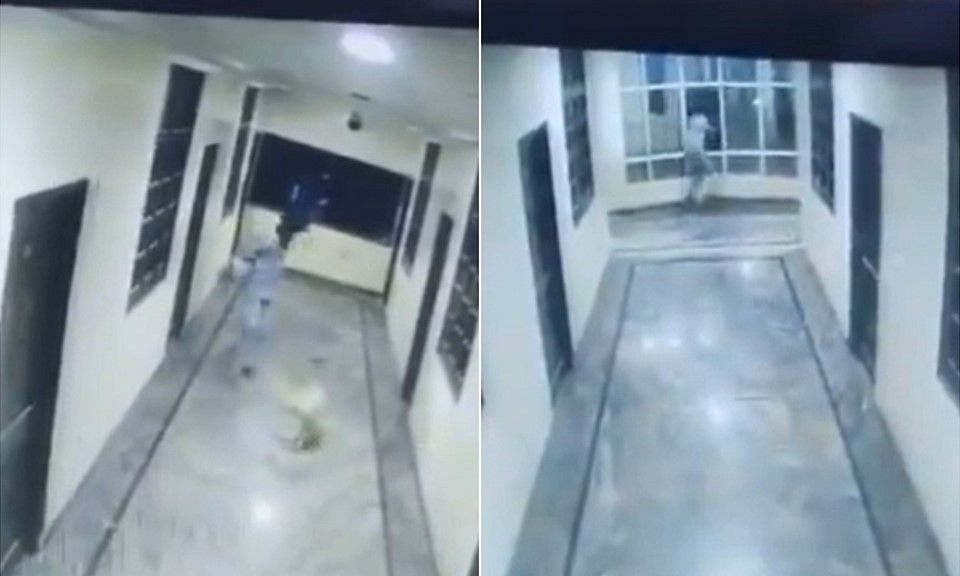 Đuổi theo chó, thanh niên bất ngờ rơi từ tầng 3 của khách sạn xuống đất tử vong