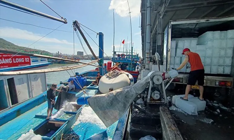 Tàu cá tại bãi  chuẩn bị ra khơi - Ảnh minh họa báo Lao Động