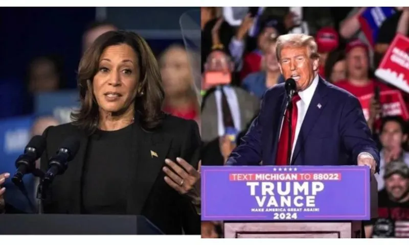 Bầu cử Mỹ 2024: Ông Trump và bà Harris chạy nước rút tại các bang chiến trường  