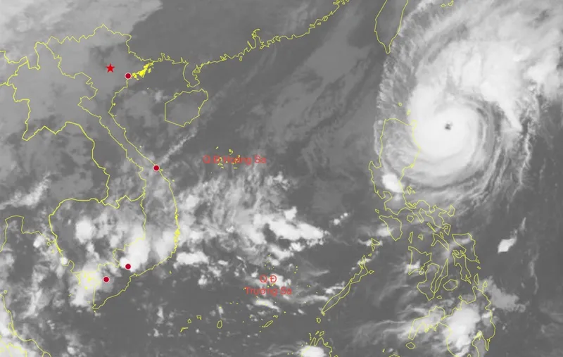 bao-so-7-bao-yinxing--173089468820432000818