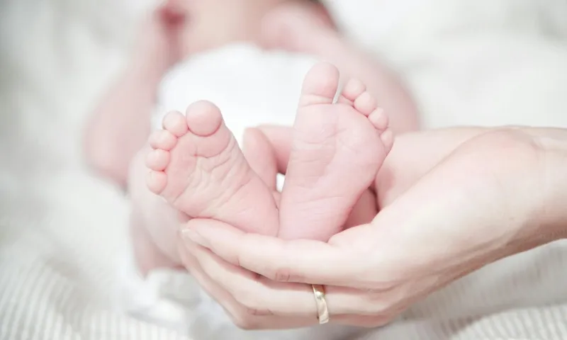 Tỷ lệ vô sinh gia tăng, người trẻ có nên trữ đông trứng để “bảo hiểm” cho tương lai?