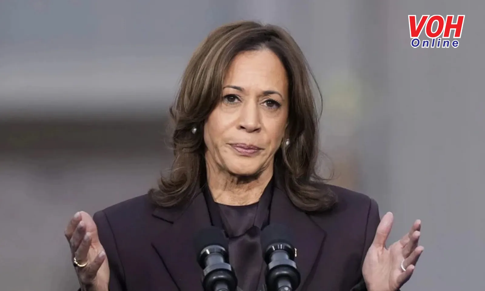 Bà Kamala Harris thừa nhận thất bại, gọi điện chúc mừng ông Donald Trump