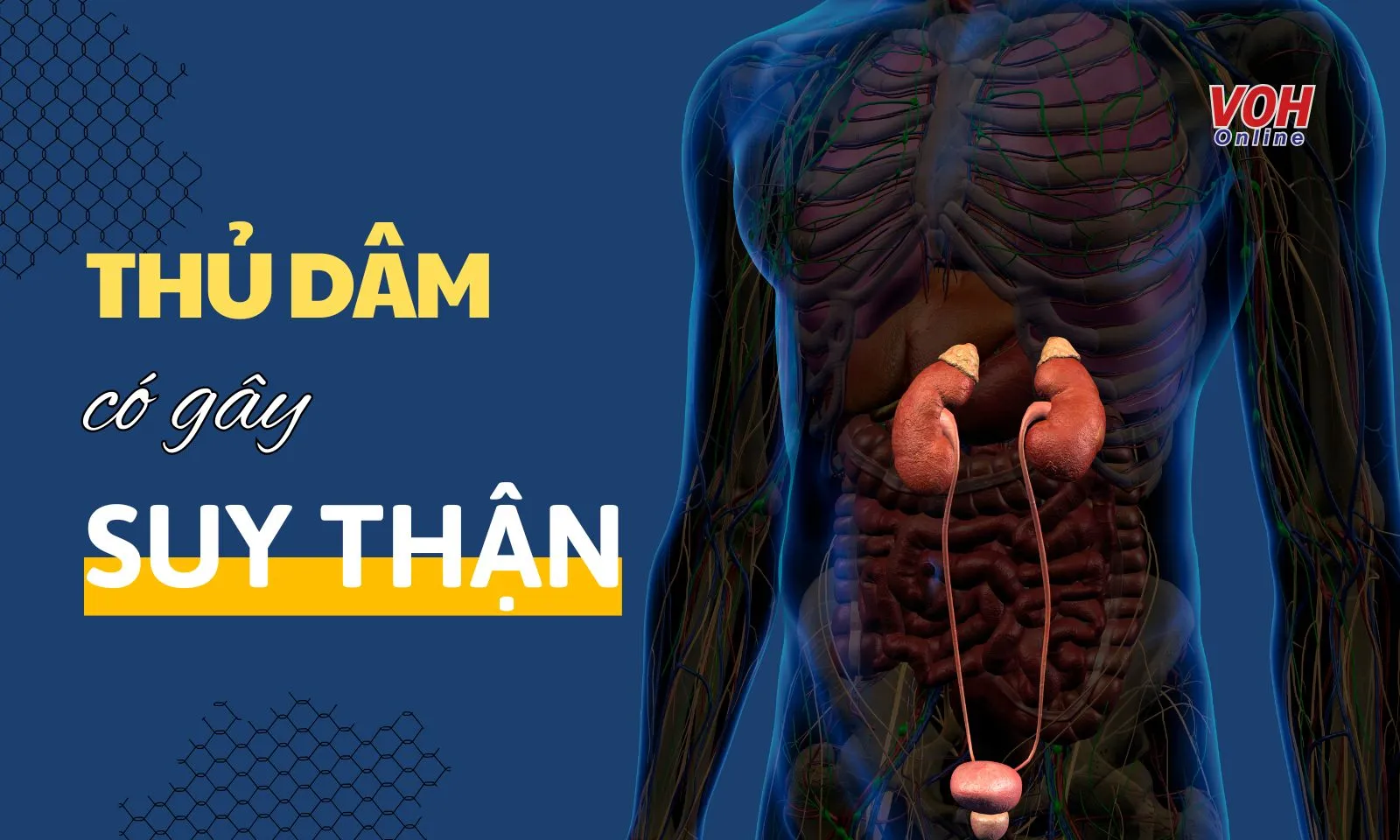 Thủ dâm nhiều có bị suy thận không?