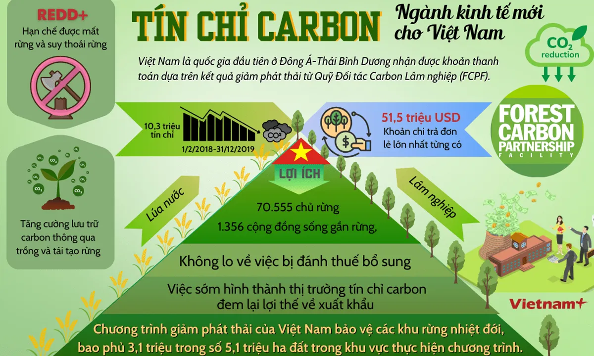 Tin phát triển bền vững ngày 8/11: “Mở khóa” thị trường tín chỉ carbon cho Việt Nam