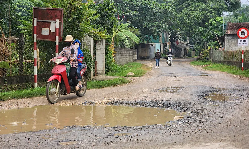 Đoàn xe chở cát lậu gây ô nhiễm môi trường