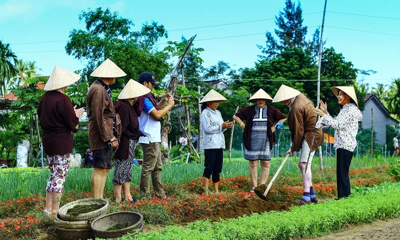 Làng rau Trà Quế được công nhận là Làng Du lịch tốt nhất năm 2024