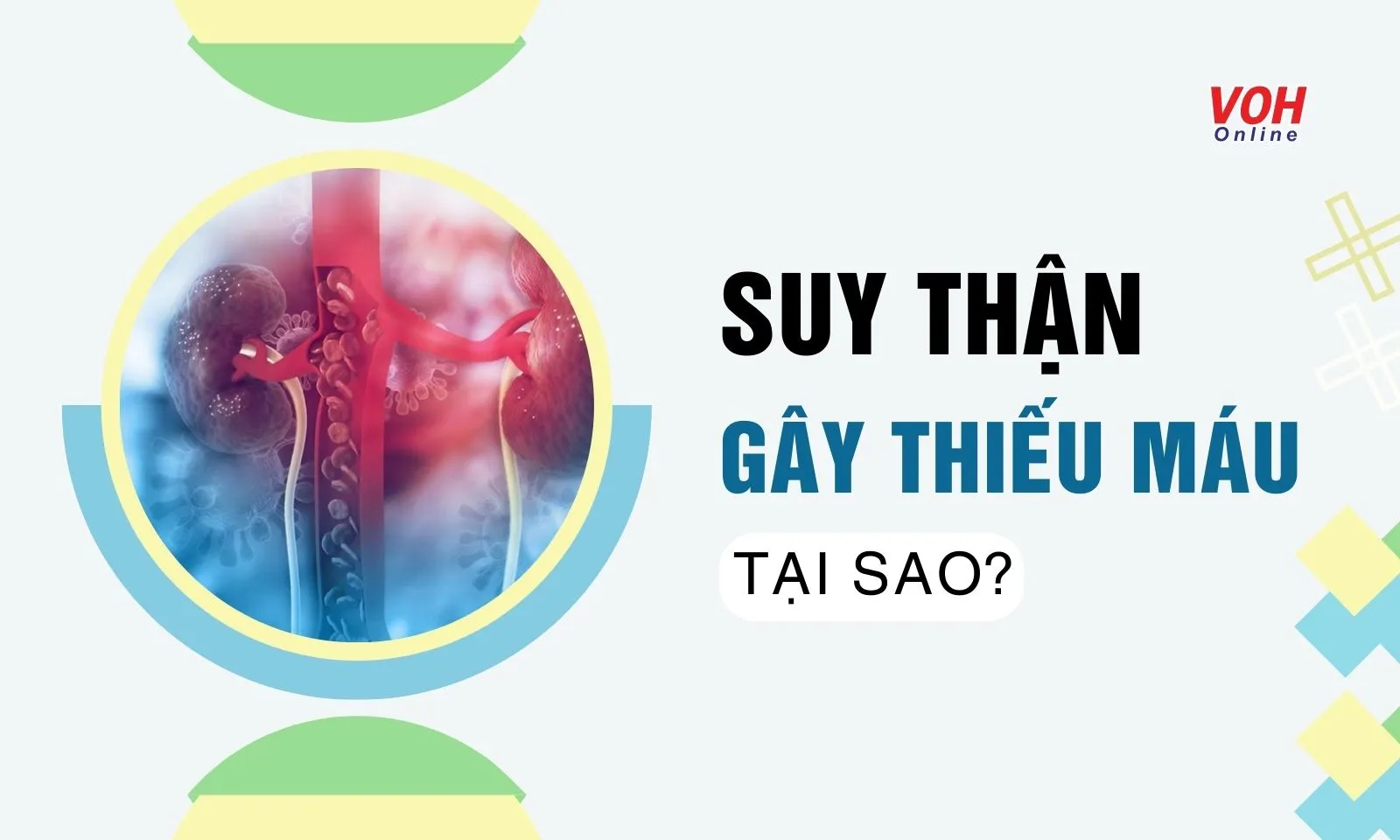 Tại sao suy thận gây thiếu máu?