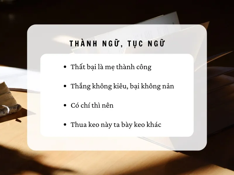 thanh-ngu-tuc-ngu-thanh-cong-that-bai-voh