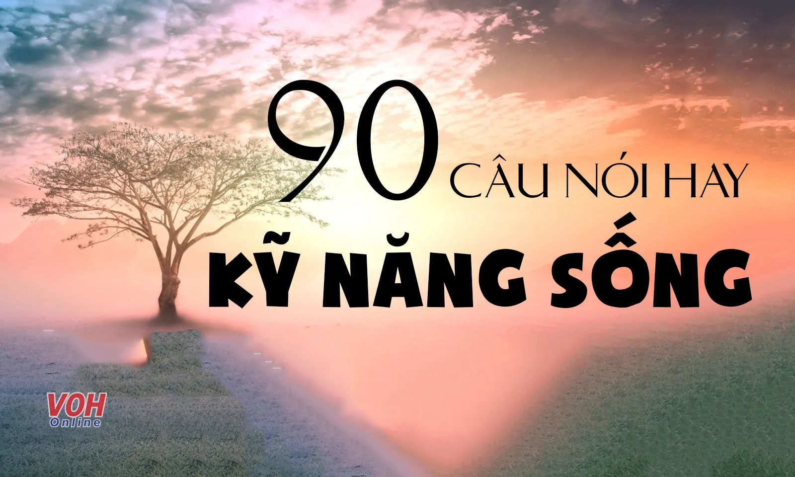 Những câu nói hay về kỹ năng sống kết nối tâm hồn và trí tuệ