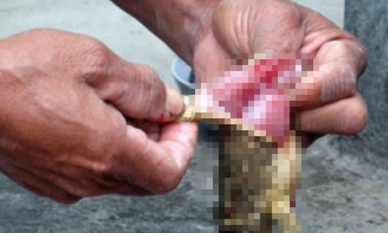 Bữa ăn tự nấu gây thảm kịch cho hai anh em nhỏ 