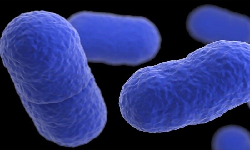 Một trẻ sơ sinh ở California tử vong và hơn 10 người bị ngộ độc do nhiễm listeria
