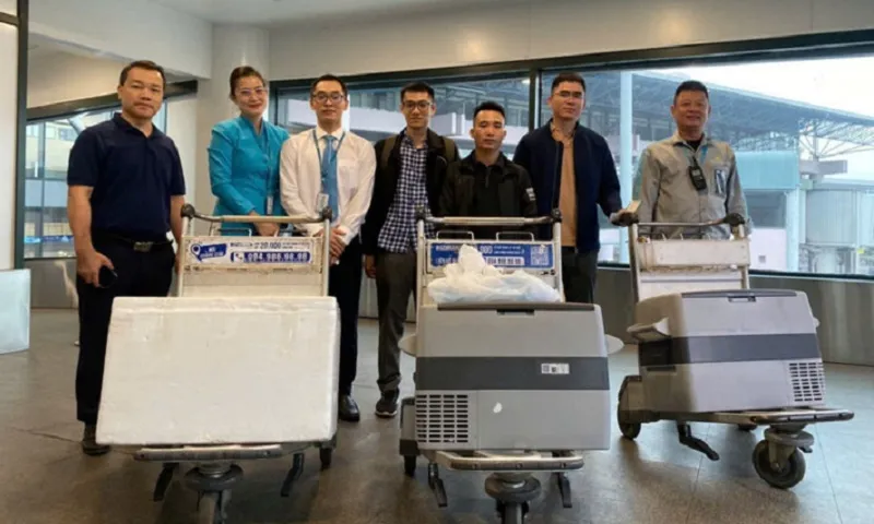 Chuyến bay lùi giờ cất cánh để chờ trái tim và tạng hiến cứu người