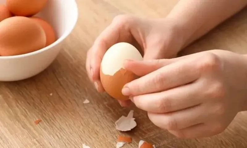 Ăn trứng mỗi ngày có thật sự tốt?