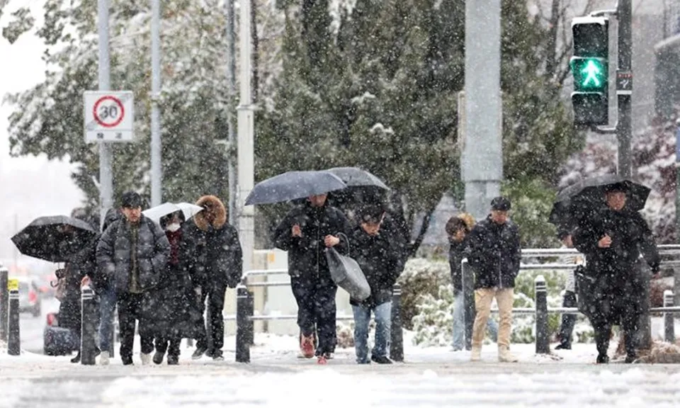 Hàn Quốc chứng kiến đợt tuyết đầu mùa rơi dữ dội nhất trong 117 năm