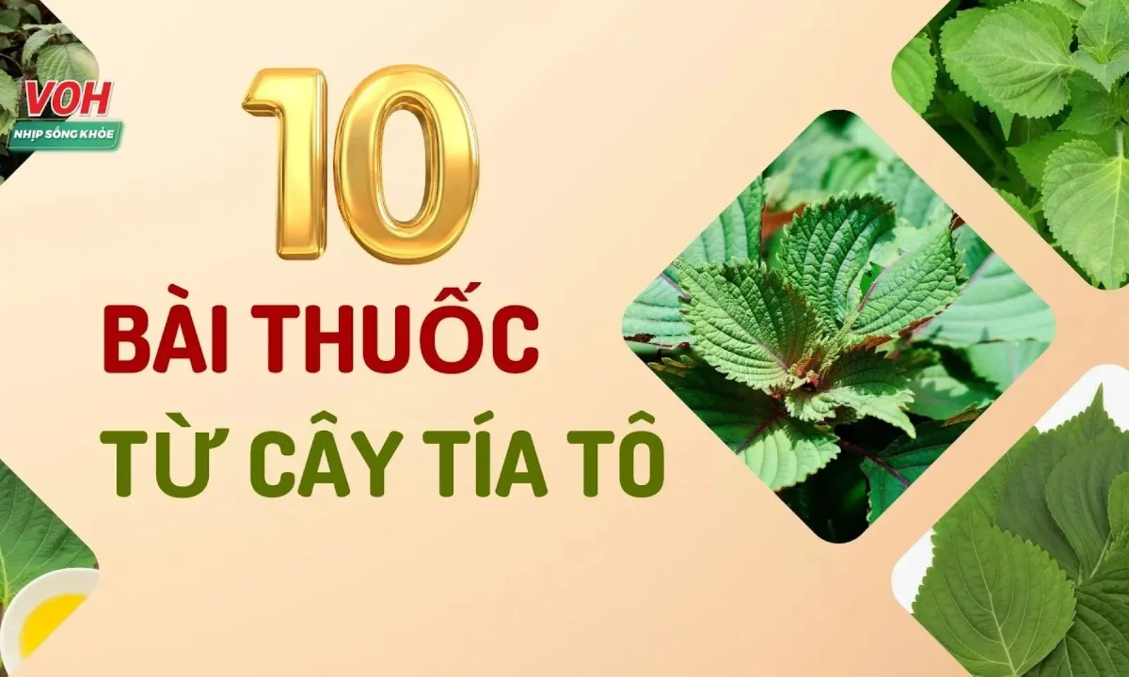 img thumb