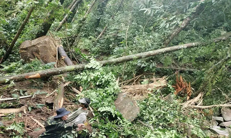 Hàng chục tảng đá lớn lăn xuống ngôi làng ở Quảng Nam sau động đất tại Kon Tum