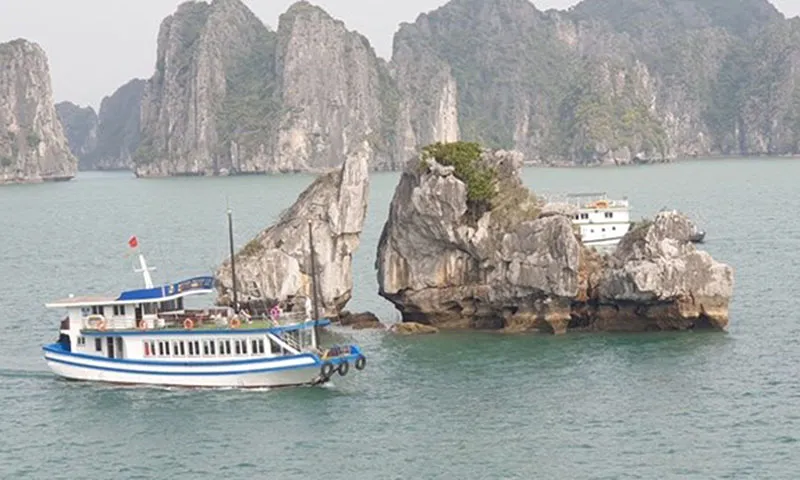 Tàu du lịch đưa du khách tham quan hòn Trống Mái, vịnh Hạ Long.