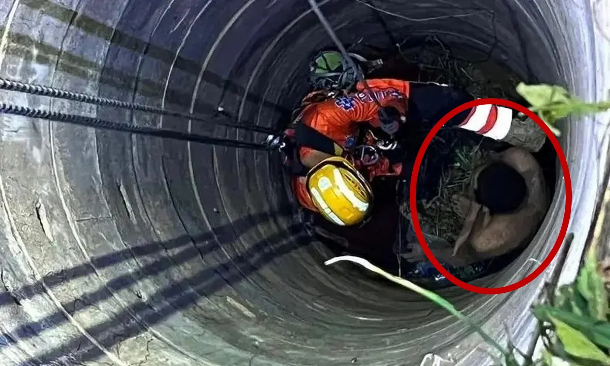 Người đàn ông Trung Quốc bị mắc kẹt 3 ngày dưới giếng hoang tại Thái Lan