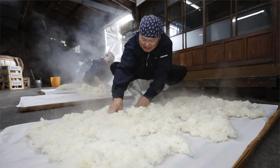 Nghề nấu rượu sake Nhật Bản được UNESCO công nhận là di sản phi vật thể