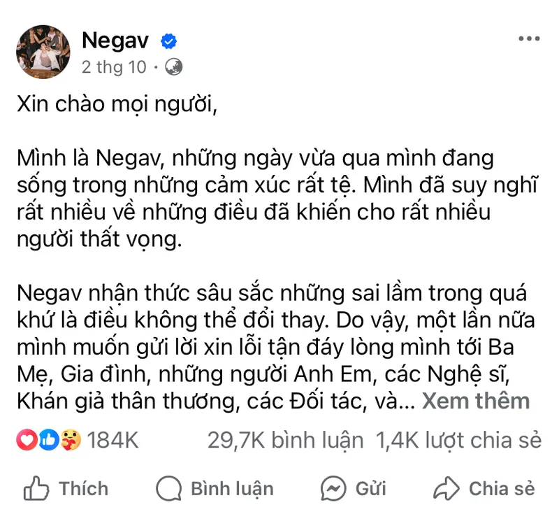 negav-xin-loi-tai-concert-anh-trai-say-hi-nguoi-co-vu-ke-nem-da-3