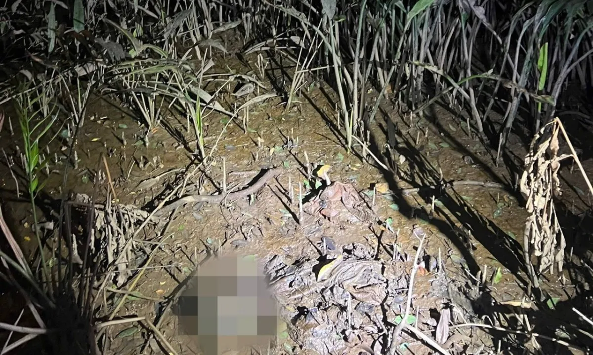 Phát hiện bộ xương người dưới đường dẫn cao tốc TPHCM - Long Thành - Dầu Giây