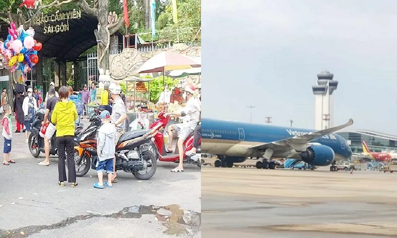 Điểm tin trưa 10/12: Một số chặng cháy vé dịp Tết | Thảo Cầm Viên Sài Gòn nợ thuế thuê đất