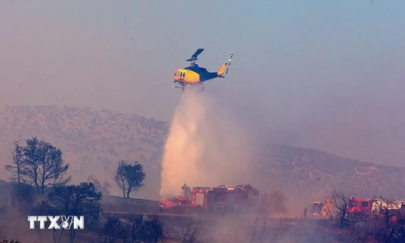 9.500 vụ cháy rừng tại Hy Lạp trong năm 2024