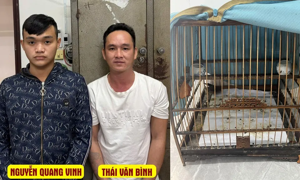 Bắt hai tên cướp manh động, xông vào nhà dân cướp lồng chim