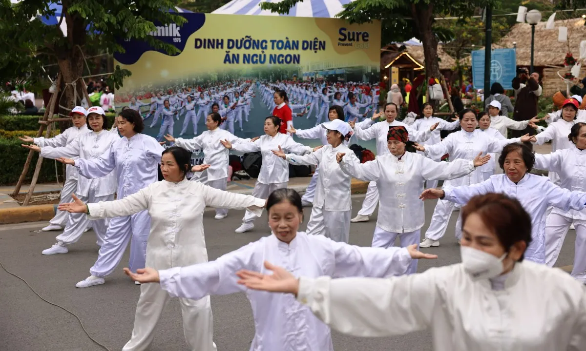 Hàng ngàn người cao tuổi Hà Nội tham gia ngày hội rèn luyện sức khỏe người cao tuổi