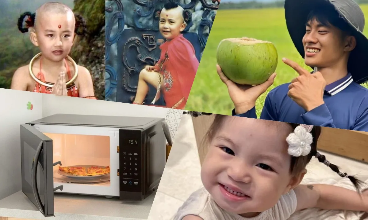 Những cụm từ “gây bão” mạng xã hội năm 2024: Tẻn tẻn, đỉnh nóc, lò vi sóng