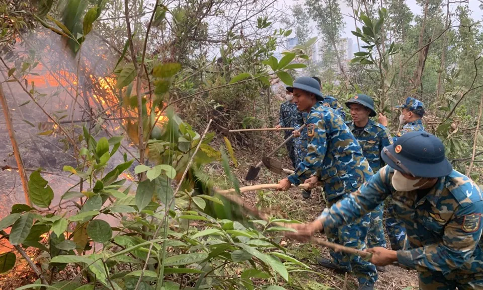 Quảng Ninh huy động nhiều lực lượng chữa cháy rừng tại Hạ Long