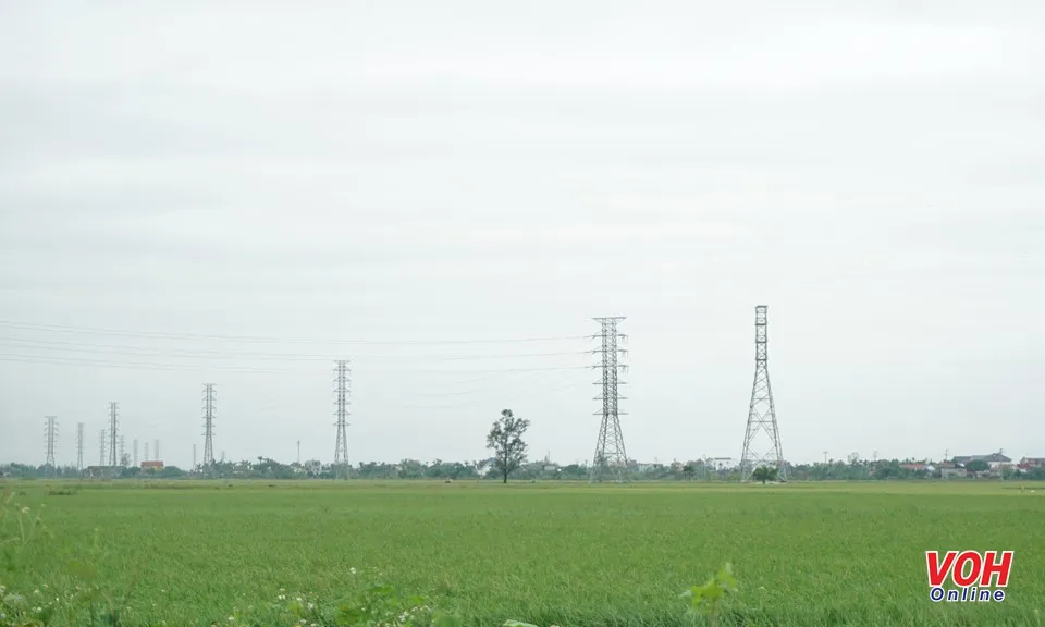 Làm tốt công tác chuẩn bị cho tổng điều tra nông thôn, nông nghiệp trên toàn quốc