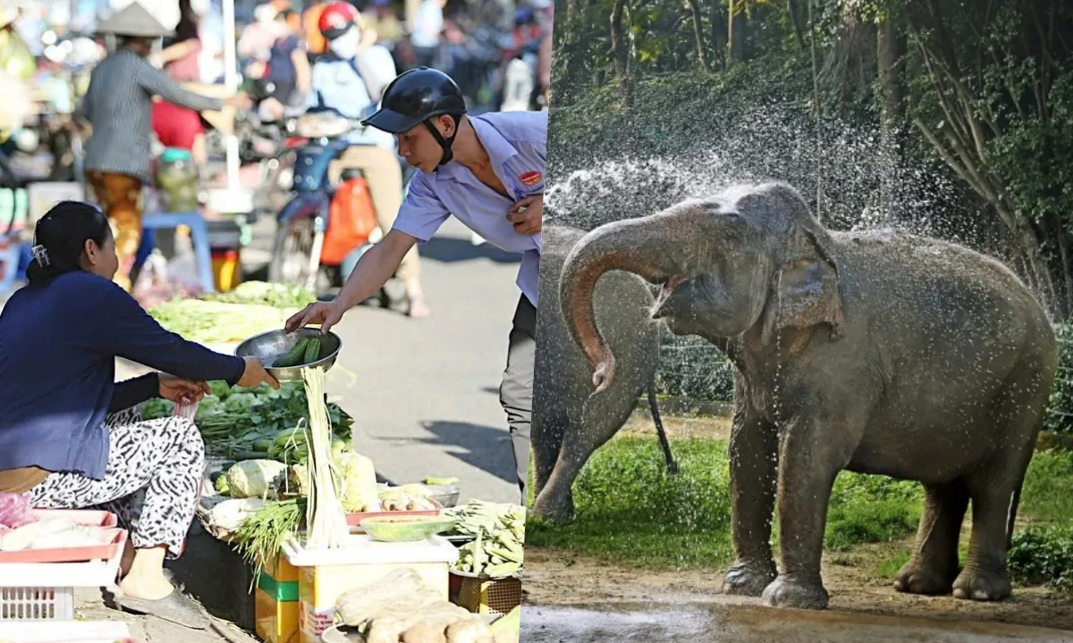 Điểm tin sáng 20/12: Đề xuất tăng giảm trừ gia cảnh | Tháo gỡ khó khăn cho Thảo cầm viên Sài Gòn