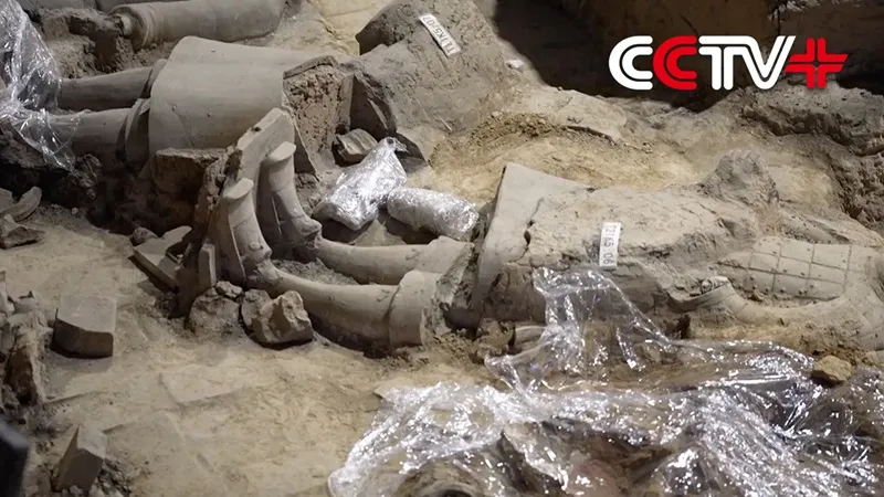 4701847139853006436347098309441966023412850n-17347427634662091290502-1734766223765-17347662239581314832351