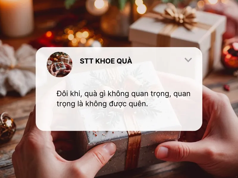 stt-khoe-qua-hai-huoc-voh