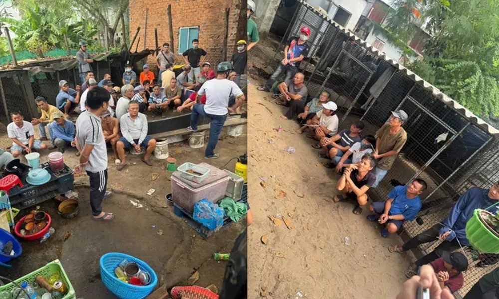 Triệt phá sới đá gà ăn tiền tại Phan Thiết