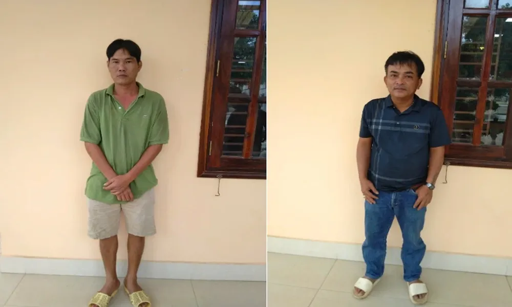 Phát hiện hơn 500 con heo vận chuyển trái phép qua biên giới