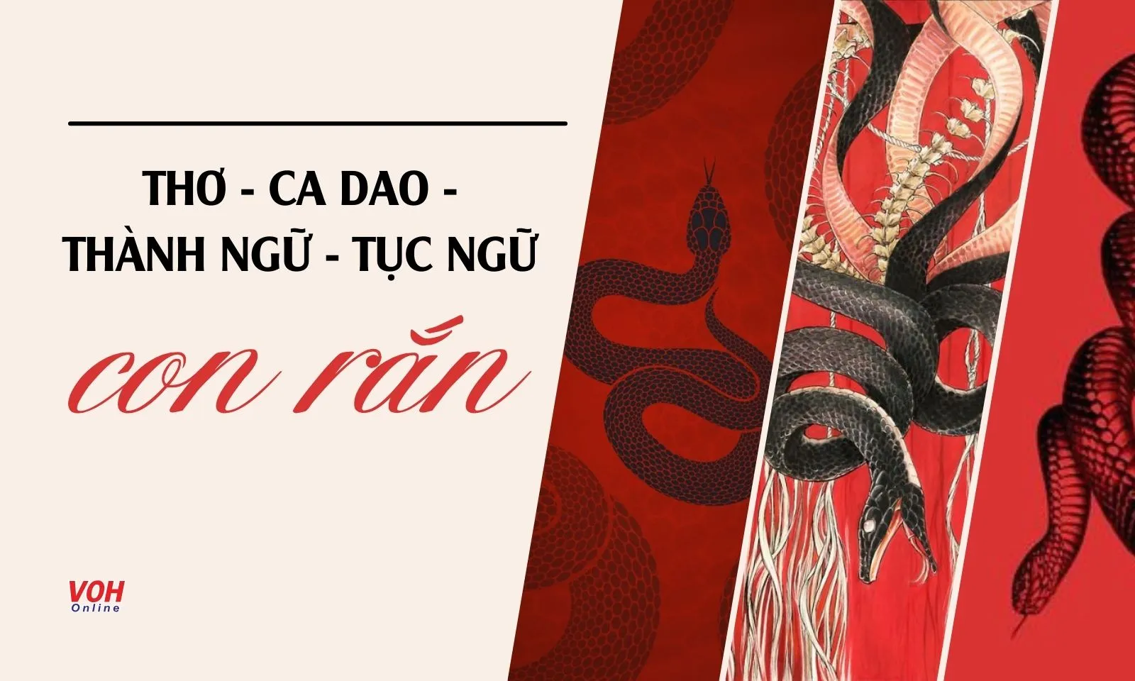 70 bài thơ, ca dao, tục ngữ, thành ngữ về rắn 