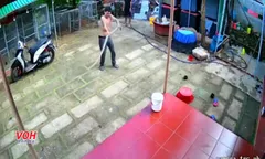 Thanh niên dũng cảm tay không bắt gọn rắn "trộm dép"