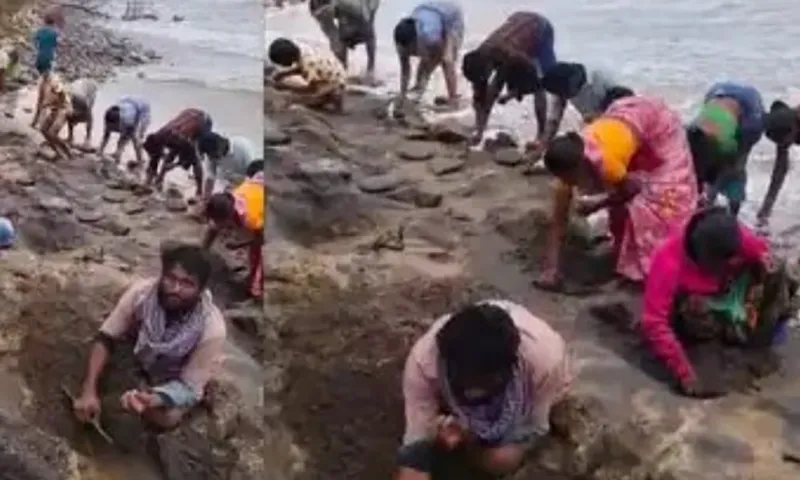 Dân miền biển đổ xô đi nhặt vàng, trang sức dạt vào bãi  