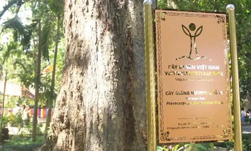 Thảo Cầm Viên Sài Gòn: Có 8 cây cổ thụ được công nhận là cây di sản