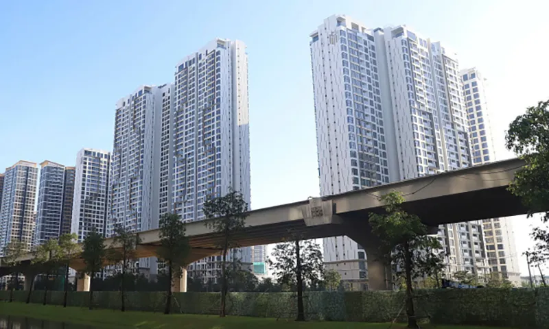 Điểm tin chiều 29/12: Năm sau khai thác 15km đoạn trên cao Vành đai 3 | TPHCM có 8 cây cổ thụ di sản