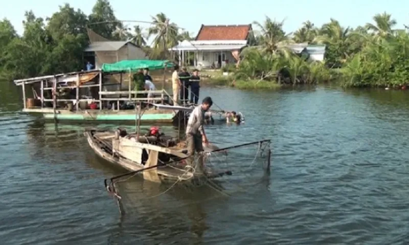 cứu hộ