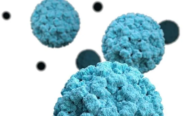 Norovirus bùng phát bất thường tại Mỹ