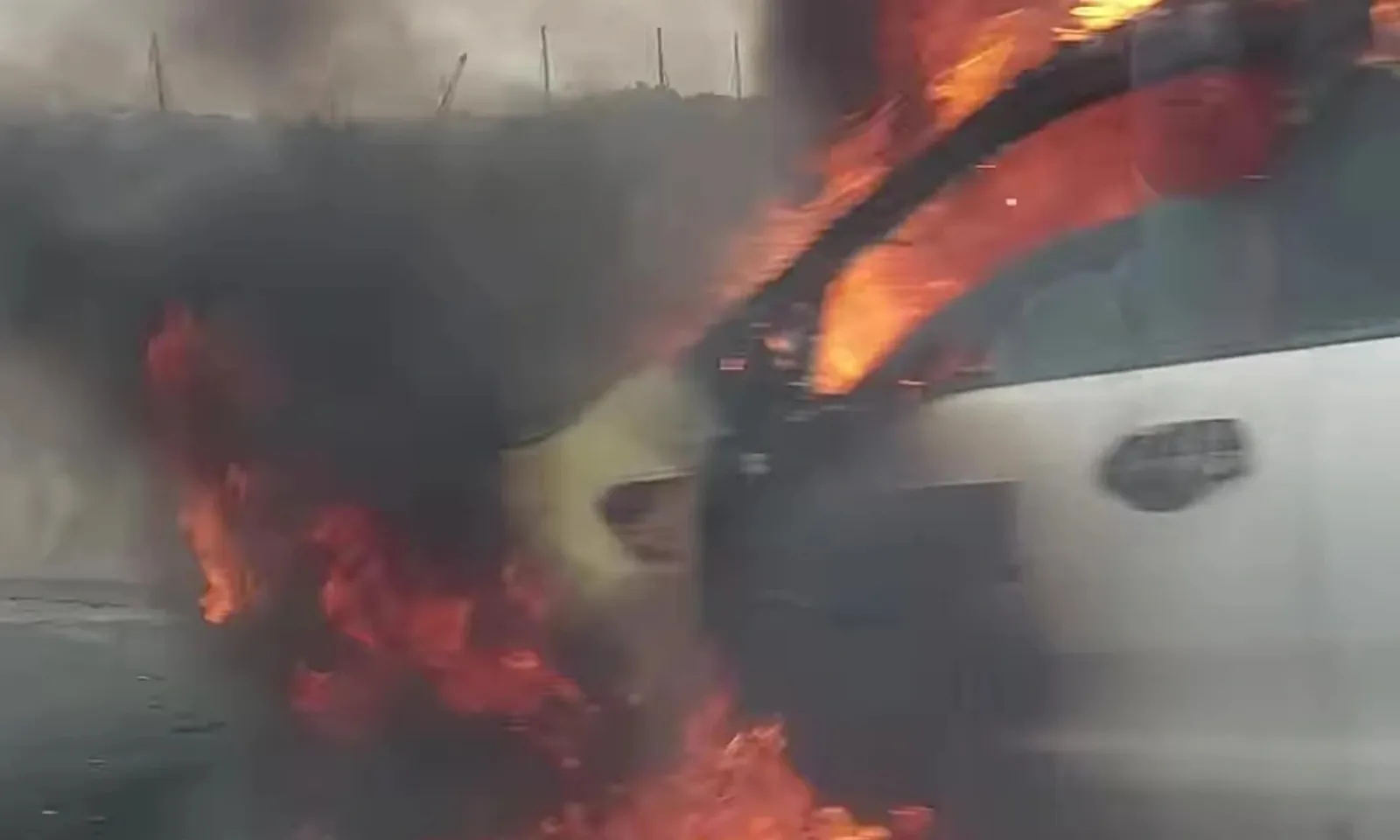 Bản sao của thumb liên cầu lợn (18)