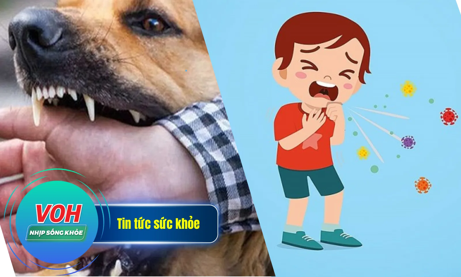 Nhịp Sống Khỏe 3/1: Bé 2 tháng tuổi tử vong vì ho gà | Mất mạng do tin vào phép màu của lang băm