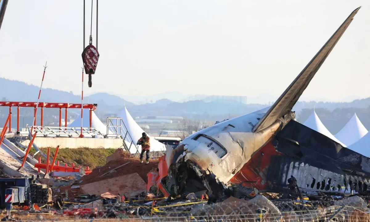 Hàn Quốc xác nhận nguyên nhân tai nạn máy bay Jeju Air: Va chạm với chim